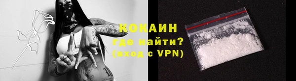 сатива Арсеньев