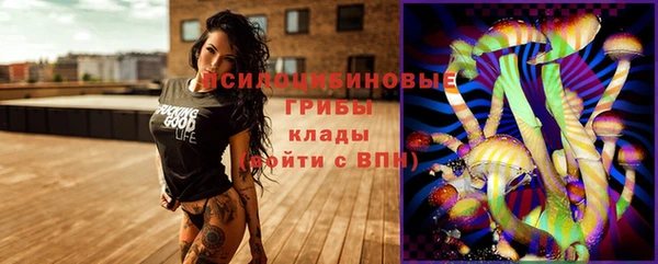 сатива Арсеньев