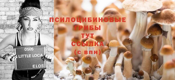 сатива Арсеньев