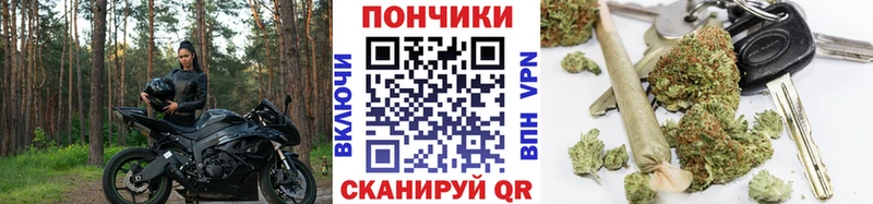 дарнет шоп  mega сайт  Конопля индика  Олёкминск 